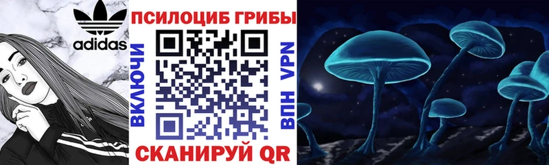 Купить где Нижневартовск Псилоцибиновые грибы Psilocybe